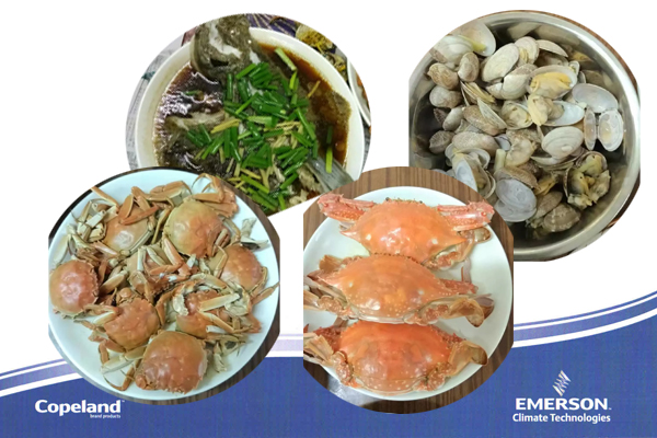 艾默生制冷壓縮機(jī) 艾默生制冷壓縮機(jī)