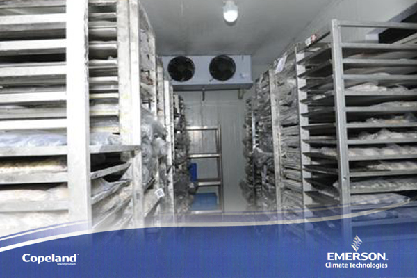 制冷壓縮機(jī) 制冷壓縮機(jī)