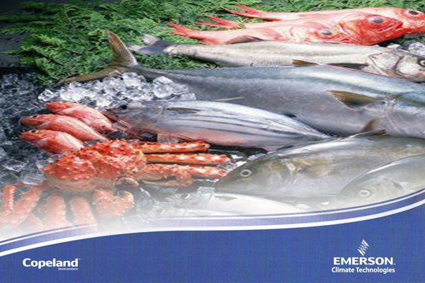 制冷壓縮機(jī) 制冷壓縮機(jī)